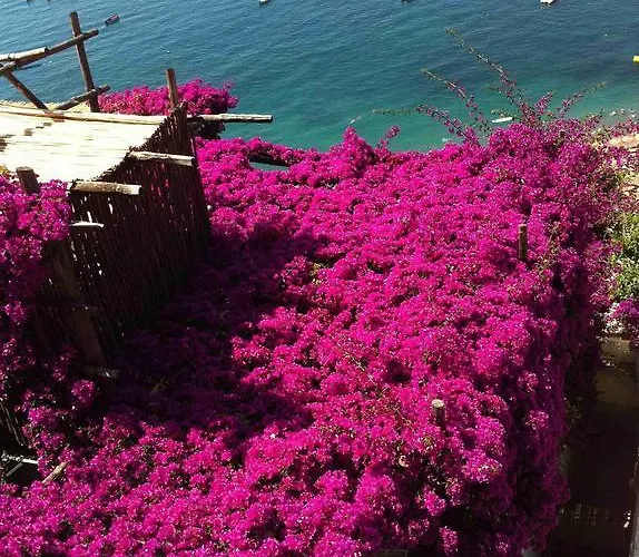 Casa Dell'ammiraglio Positano